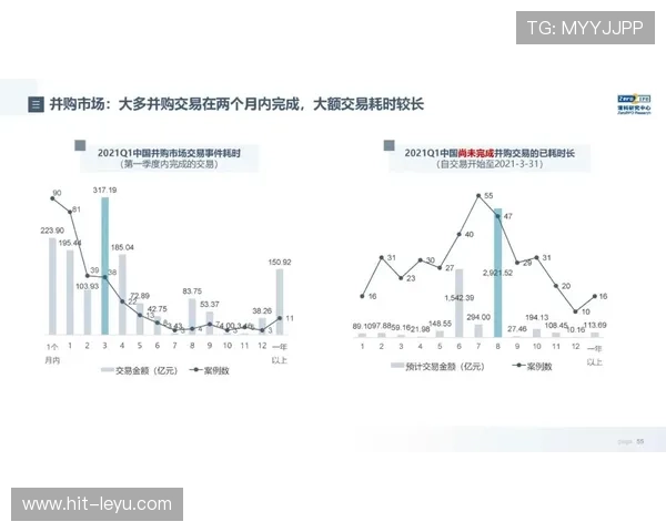 足球第一梯队球星阵容全面解析与未来发展趋势展望
